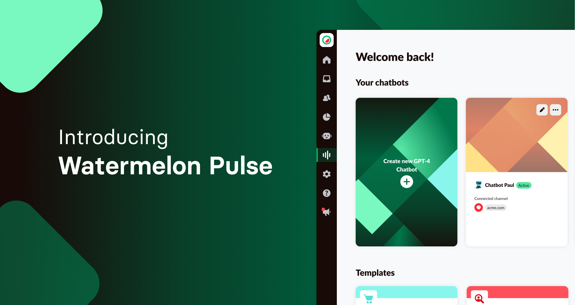 Introduction of Watermelon Pulse